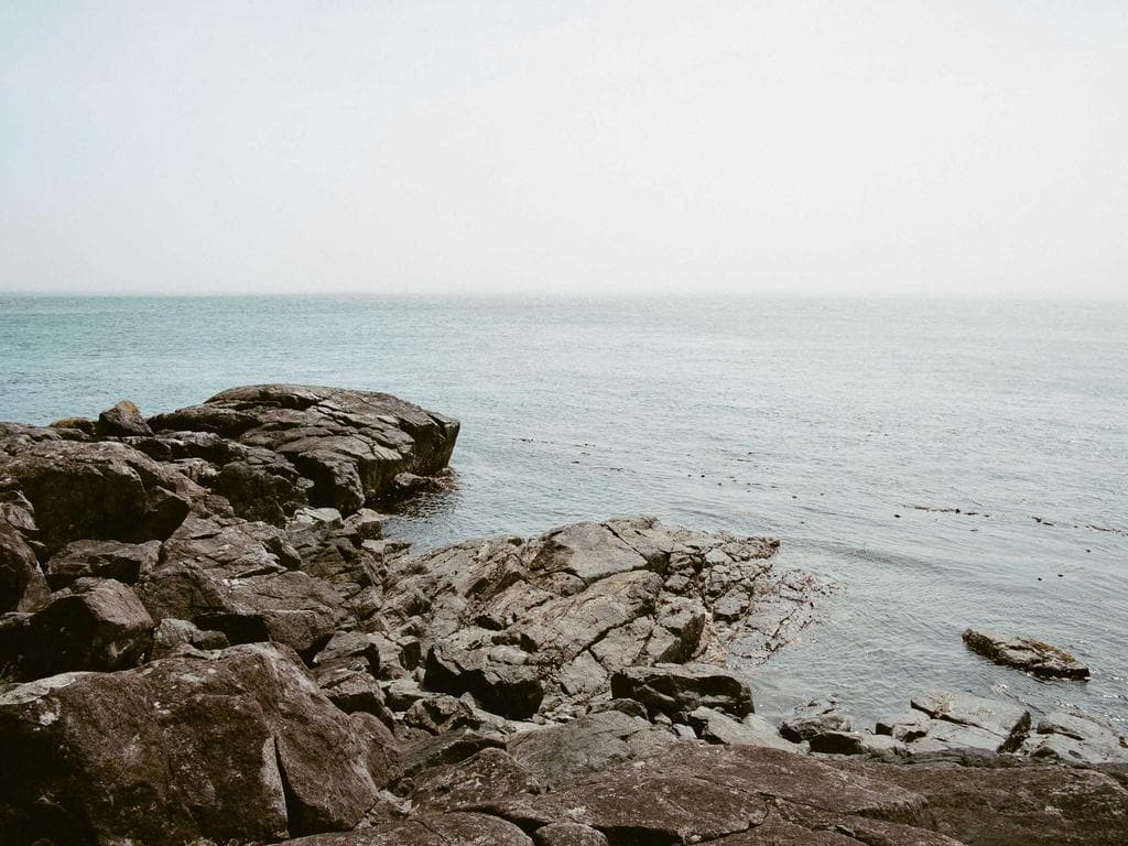 Demo — Ameerpet Elite PG photo 1